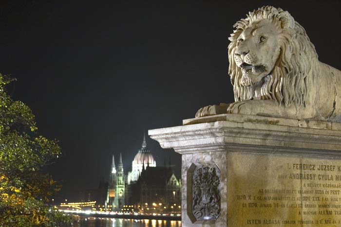 Budapest Lion