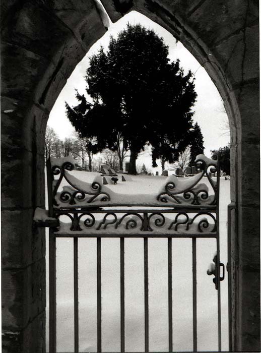 arch and tree